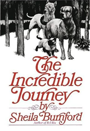 The Incredible Journey