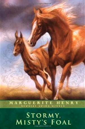 Stormy, Misty's Foal