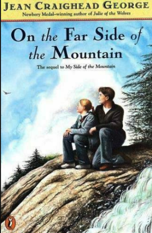 On the Far Side of the Mountain
