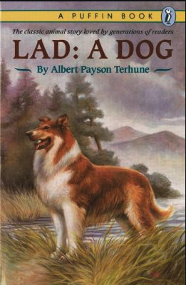 Lad, a Dog