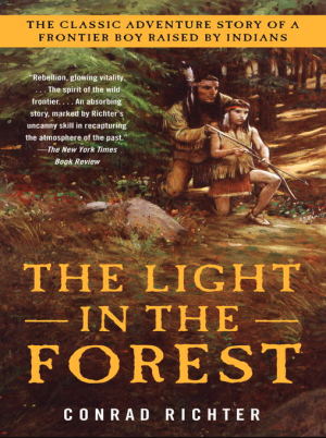 The Light in the Forest
