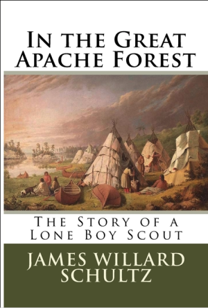 In the Great Apache Forest: The Story of a Lone Boy Scout