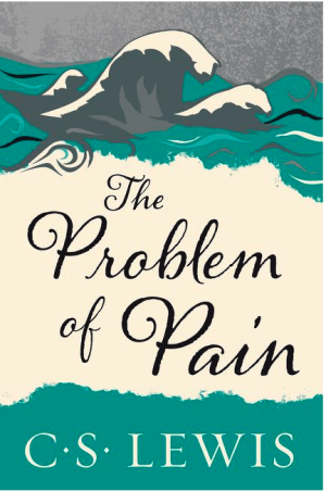 The Problem of Pain