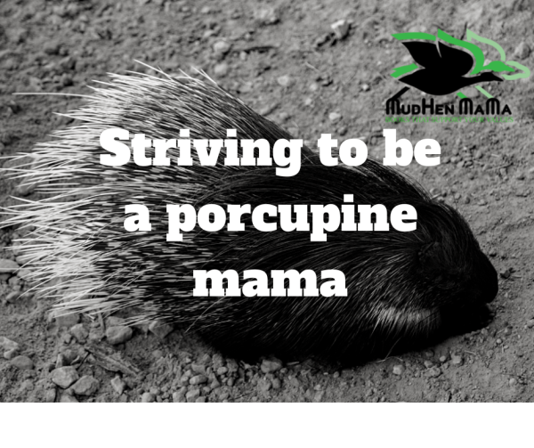 Striving to be a Porcupine Mama