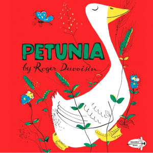 Petunia