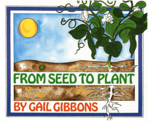 From Seed to Plant