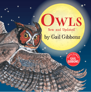 Owls